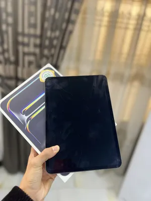 apple-ipad-pro-4-256-gb-in-baghdad