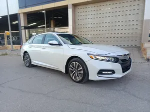 used-honda-accord-in-amman