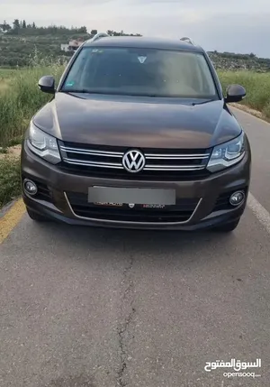 تيجوان-2013