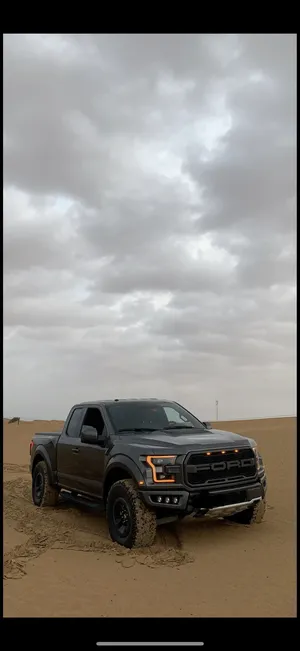 used-ford-f-150-in-abu-dhabi