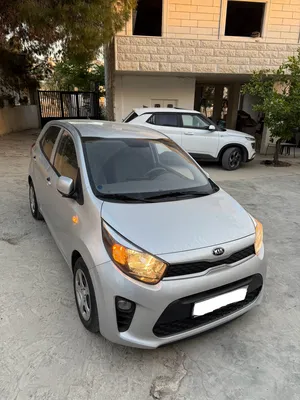 مورنينج-بيكانتو-2020-نخب-لسا-بالنايلون-ماشيه-40-كيلو-فقط