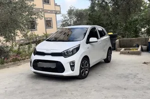 new-kia-picanto-in-ramallah-and-al-bireh