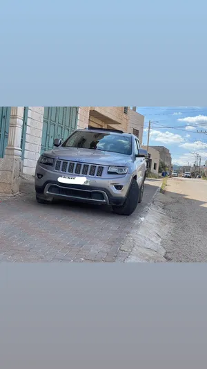 جيب-شروقي-يد-اولى