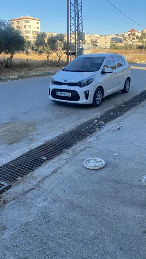 used-kia-picanto-in-nablus