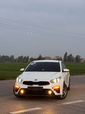 used-kia-k3-in-qalubia