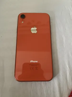 apple-iphone-xr-64-gb-in-amman