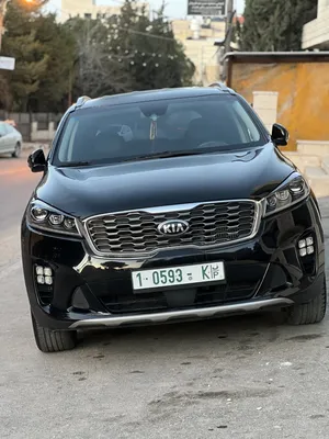 برهان-نجاجرة