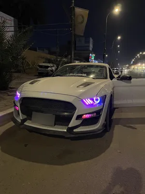 used-ford-gt-in-baghdad