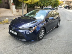 used-toyota-corolla-in-amman