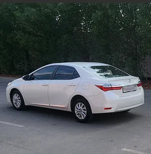 used-toyota-corolla-in-central-governorate