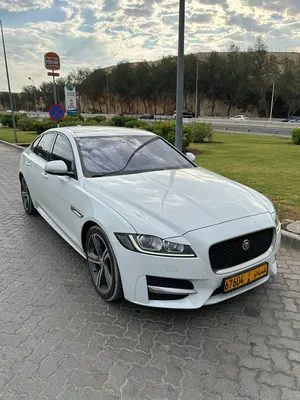 jaguar-xf-r-sport