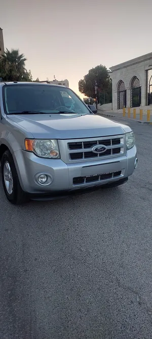 used-ford-escape-in-amman