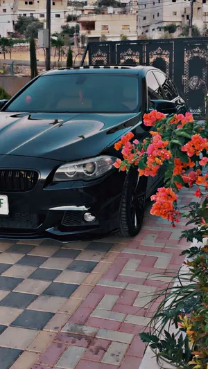 فل-الفل-bmw-f10