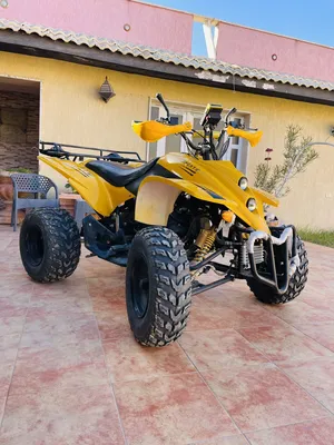 atv-250cc-موديل-2022-سفار