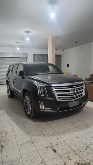 كاديلاك-سكاليد-2019