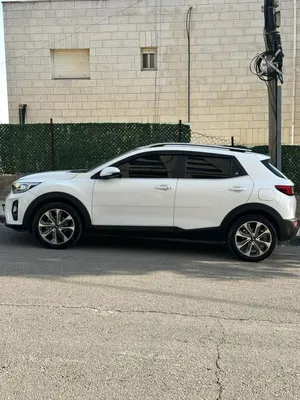 kia-stonek