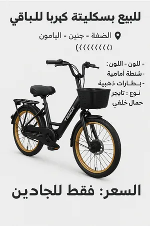 بسكليت-كهربا