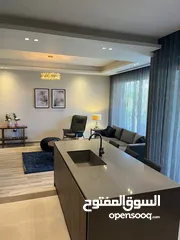  13 Furnished Apartment to Rent  ( Property 41010 )-174674914