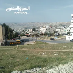  4 دونم سكن خاص بسعر مغري كماليه صويلح يصلح لبناء اسكان او فيلاا