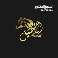  16 تصميم شعارات logo - لوجو / هويه بصريه - بزنس كارد ـ دعوات افراح الكترونيه - بروفايل كومباني