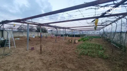  6 فلا وارض مميزه للبيع