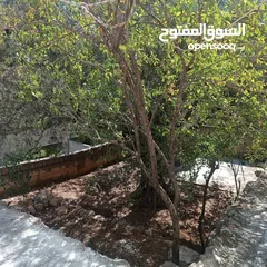  2 شقة صغيرة مستقلة للطالبات