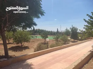  5 مادبا حواره مزرعه للبيع