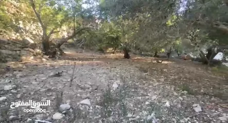  2 ارض مساحة 200 متر بسعر لا يعوض