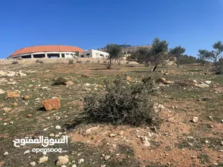  2 ارض للبيع / الصبيحي 18 دونم تقع على شارع رئيسي ‏بإطلالة مميزة وجميلة ويوجد بجانبها مطعم