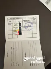  12 كلب مالتيز (فرنش تيرير) للبيع او البدل عمره 9 شهور