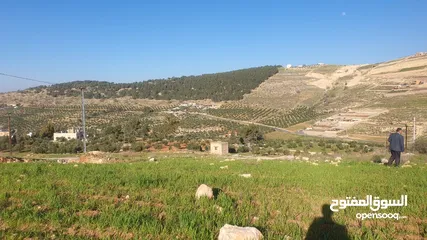  3 من المالك الكمشه الميدان اسكان المهندسين 500 م جميع الخدمات مستويه اطلاله مميزه
