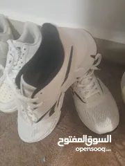  12 شروة احذيه  البيع كامل الكميه 30 حبه