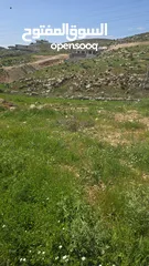  1 ارض بدر الجديده الرباحيه