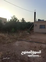  4 فرصة استثماريه........ محافظة اربد بلدة كتم / بيت وارض ومخزن للبيع
