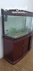  1 حوض سمك fish tank