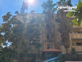  6 عمارة للبيع 8 شقق مع برج زين ،دخل سنوي 25,400.00