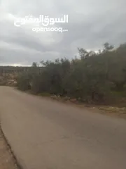  27 القبة الذهبية  اراضي بلعا دير الغصون