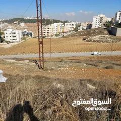  4 قطعه ارض للبيع مساحه 793 متر مربع  في عمان - ناعور - وادي الكبرا خلف محطه السلام طريق البحر الميت