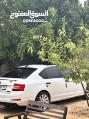  5 سكودا اوكتافيا