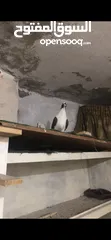  2 حمام للبيع  بربريسي.