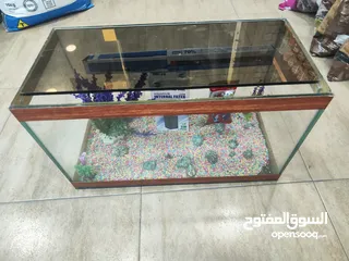  8 – فواكه مجففة الطيور  دلل طيرك بأفضل تغذية! نقدم لك خليط الفواكه المجففة لجميع أنواع الطيور