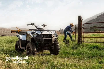  9 Kawasaki BRUTE FORCE 300