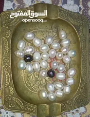  3 لؤلؤ زراعي