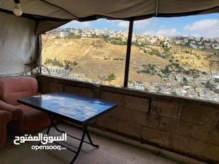  23 بيت ثلاث طوابق كل طابق مدخل منفصل مع برنده واسعه مع ارض 650 متر مزروعه شجر كبير مثمر بسعر 45000  JD