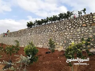  13 استصلاح اراضي بناء سناسل بناء سلاسل تشييك مزارع تشييك اراضي توريد تراب احمر والأشجار المثمرة والزينه