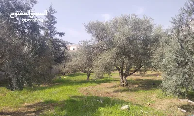  2 قطعة أرض للبيع/ إربد - بيت راس
