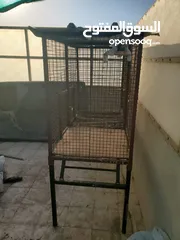  2 birds big cage  2 portation