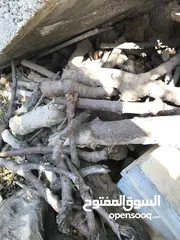  9 حطب زيتون ولوز يابس درجة أولى متين وسميك مثالي للتعبئة والشوي ومتوفر بكميات وبتسعيرة منافسة