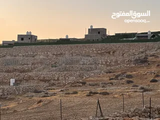  9 قطعتين مجاورتان للبيع في ضاحية النسيم دومه /دورا اول الظاهريه ، تصنيف الف بناء طابو