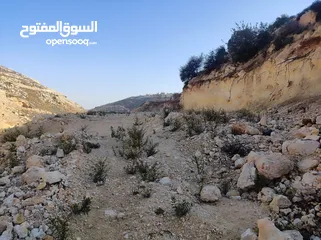  5 ارض للبيع 1000 متر طابو ابو نجيم